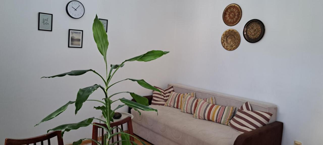 Apartment Bina Tivat Exterior foto